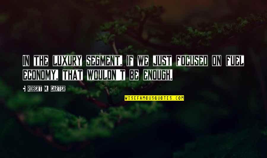 Only Worrying About Yourself Quotes By Robert M. Carter: In the luxury segment, if we just focused