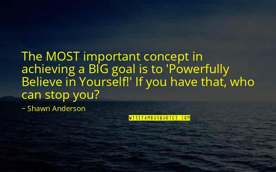 Only You Can Stop Yourself Quotes By Shawn Anderson: The MOST important concept in achieving a BIG