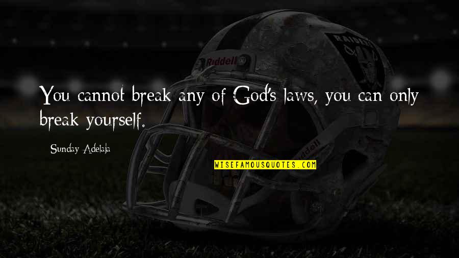 Only You God Quotes By Sunday Adelaja: You cannot break any of God's laws, you