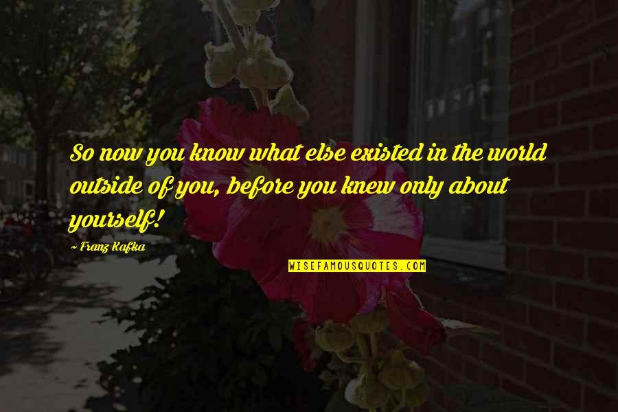 Only You Knew Quotes By Franz Kafka: So now you know what else existed in