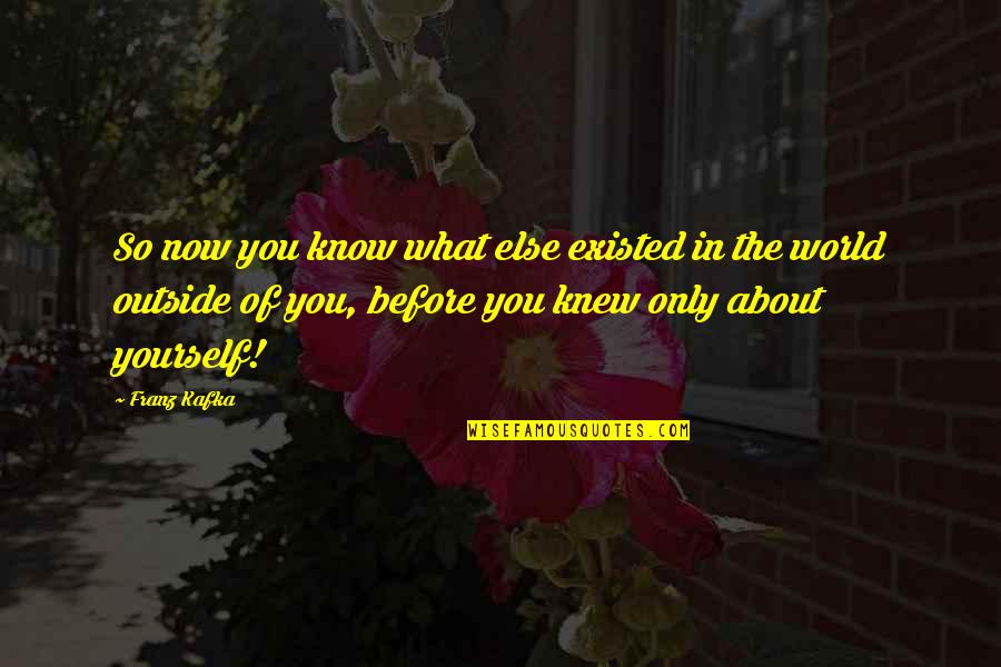 Only You Know Yourself Quotes By Franz Kafka: So now you know what else existed in