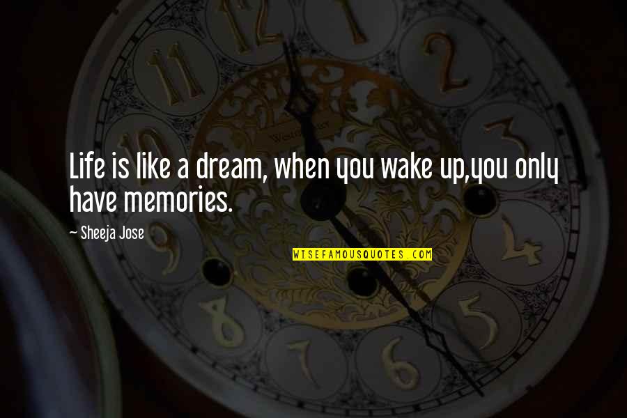 Only You Quotes Quotes By Sheeja Jose: Life is like a dream, when you wake