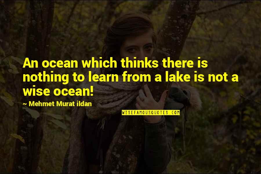 Onlyaidden Quotes By Mehmet Murat Ildan: An ocean which thinks there is nothing to