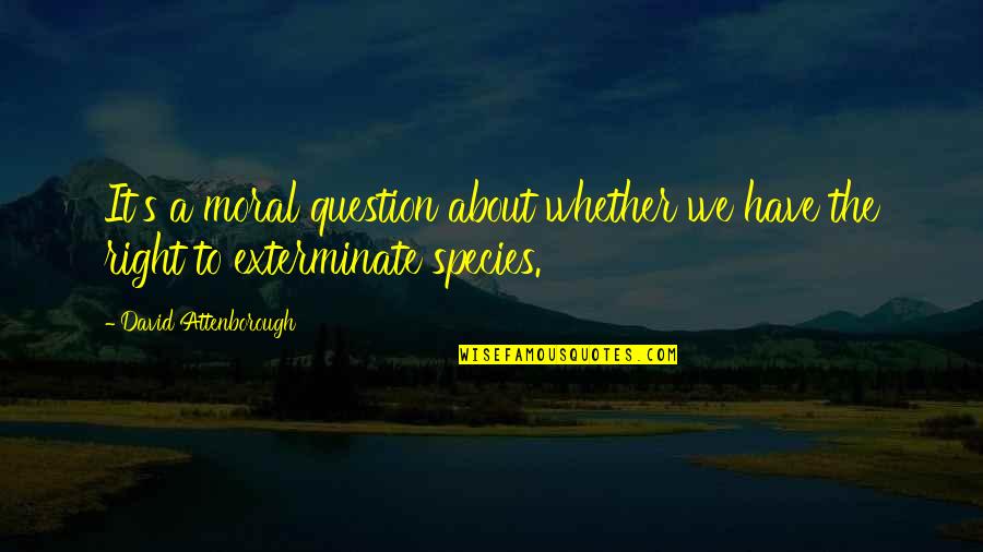 Onlyias Quotes By David Attenborough: It's a moral question about whether we have Onlyias Quotes By David Attenborough: It's a moral question about whether we have