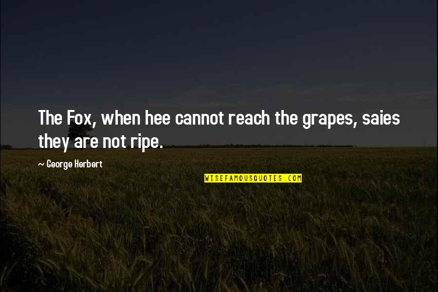 Onnen Company Quotes By George Herbert: The Fox, when hee cannot reach the grapes,