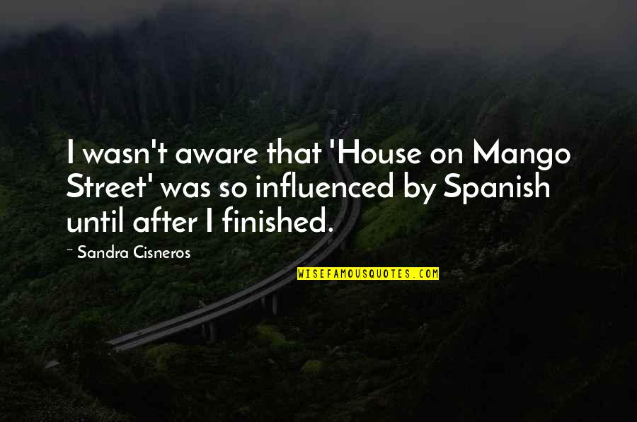 Onstadt Quotes By Sandra Cisneros: I wasn't aware that 'House on Mango Street'