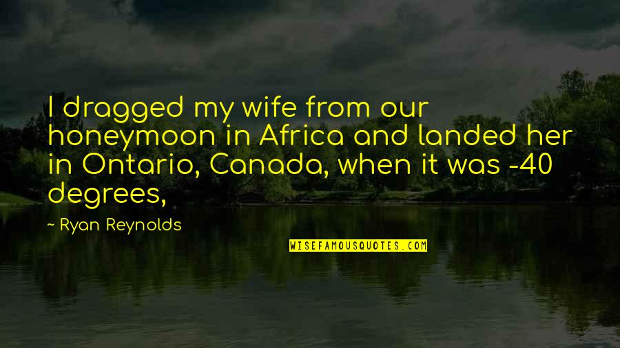 Ontario Quotes By Ryan Reynolds: I dragged my wife from our honeymoon in