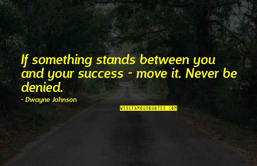 Ontic Quotes By Dwayne Johnson: If something stands between you and your success
