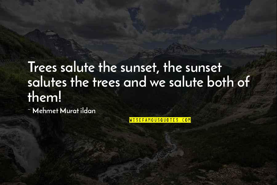 Ontmoeting In Engels Quotes By Mehmet Murat Ildan: Trees salute the sunset, the sunset salutes the