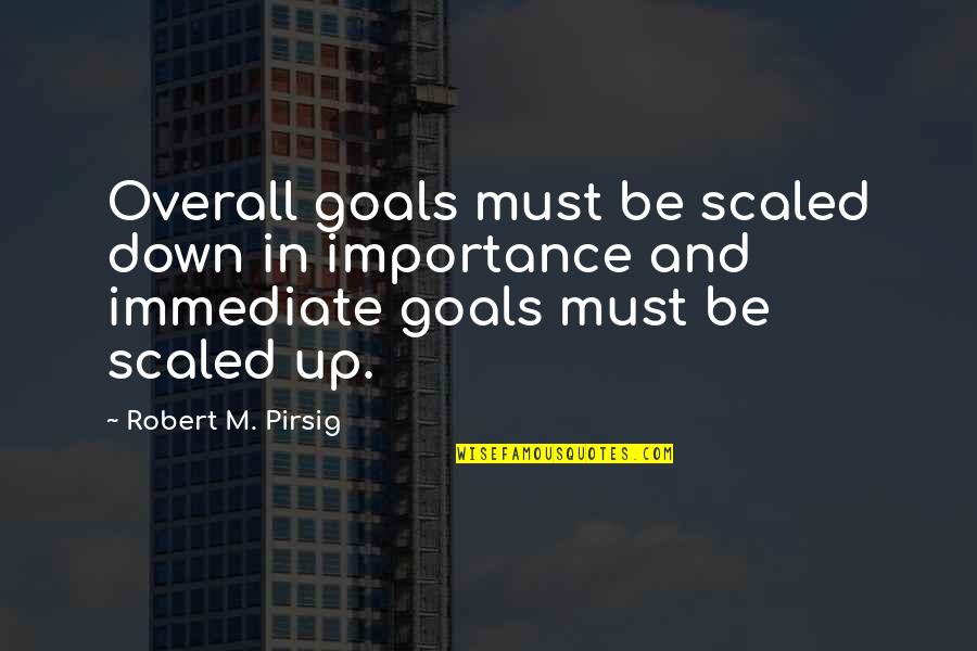 Ontologically Quotes By Robert M. Pirsig: Overall goals must be scaled down in importance