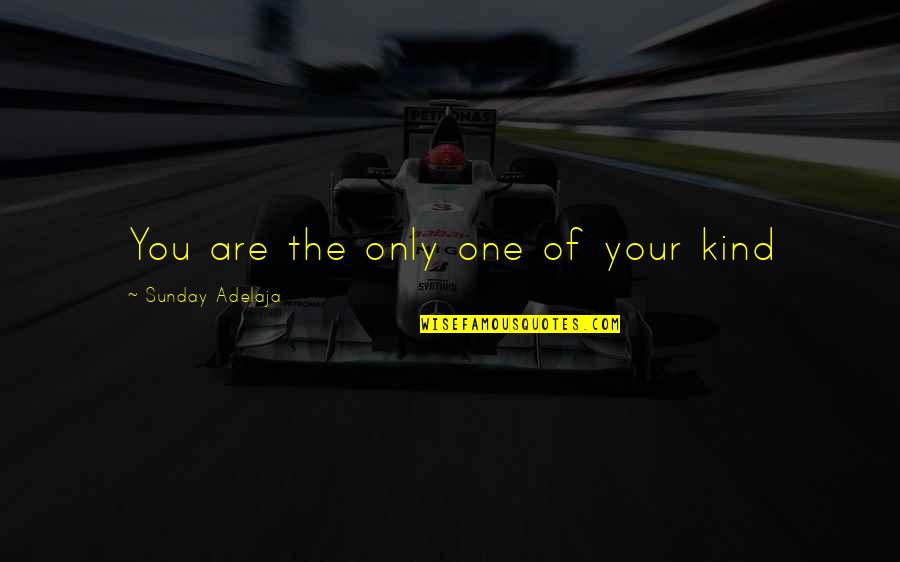 Ontvankelijkheid En Quotes By Sunday Adelaja: You are the only one of your kind