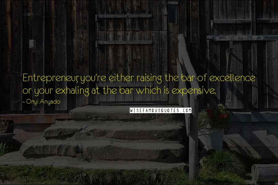 Onyi Anyado quotes: Entrepreneur, you're either raising the bar of excellence or your exhaling at the bar which is expensive.