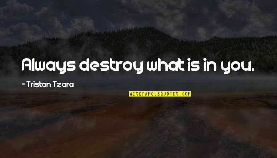 Onzichtbaar Licht Quotes By Tristan Tzara: Always destroy what is in you.