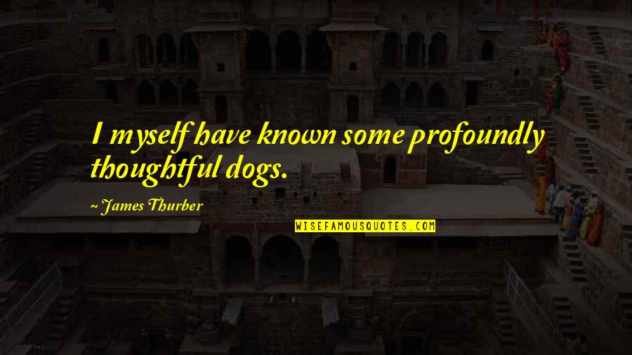 Ooil Quotes By James Thurber: I myself have known some profoundly thoughtful dogs.