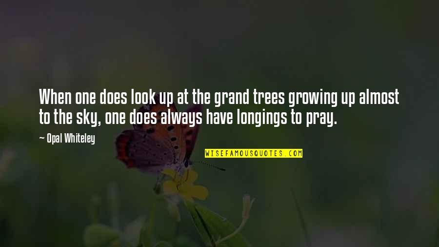 Opal Quotes By Opal Whiteley: When one does look up at the grand