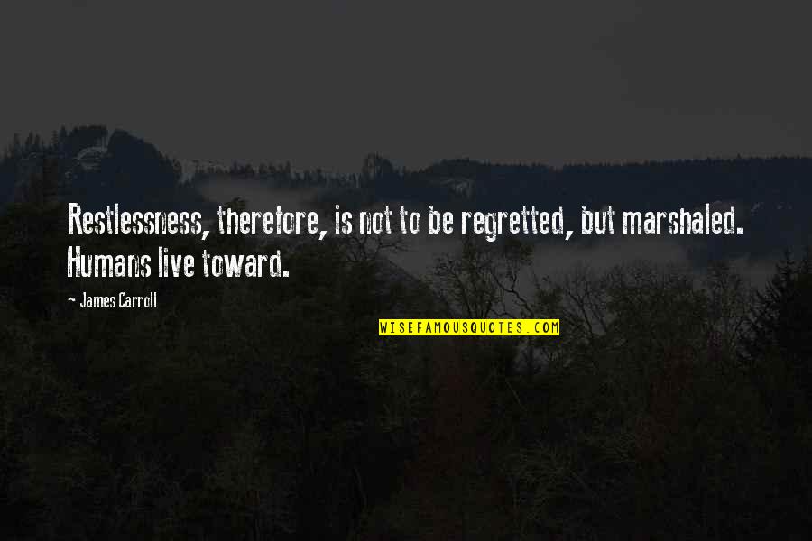 Opalinos Quotes By James Carroll: Restlessness, therefore, is not to be regretted, but