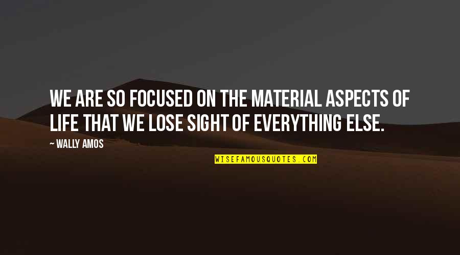 Opalovac Quotes By Wally Amos: We are so focused on the material aspects Opalovac Quotes By Wally Amos: We are so focused on the material aspects