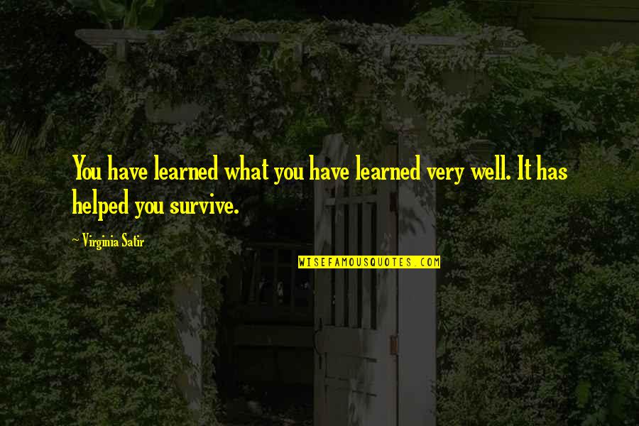 Open Doorway Quotes By Virginia Satir: You have learned what you have learned very