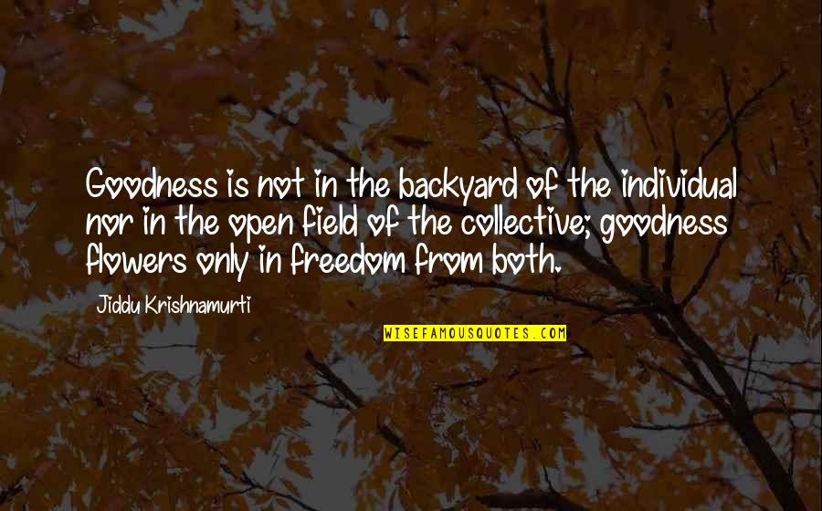 Open Fields Quotes By Jiddu Krishnamurti: Goodness is not in the backyard of the