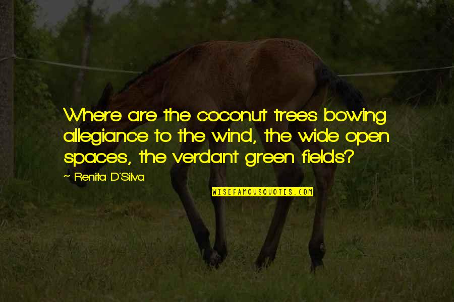 Open Fields Quotes By Renita D'Silva: Where are the coconut trees bowing allegiance to
