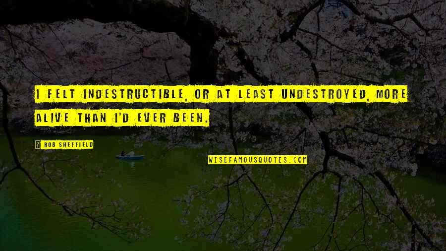 Open Mind Success Quotes By Rob Sheffield: I felt indestructible, or at least undestroyed, more