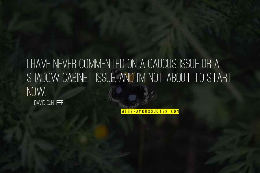 Open Minded Girl Quotes By David Cunliffe: I have never commented on a caucus issue Open Minded Girl Quotes By David Cunliffe: I have never commented on a caucus issue