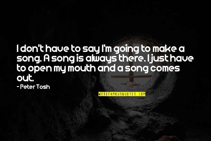 Open Mouths Quotes By Peter Tosh: I don't have to say I'm going to