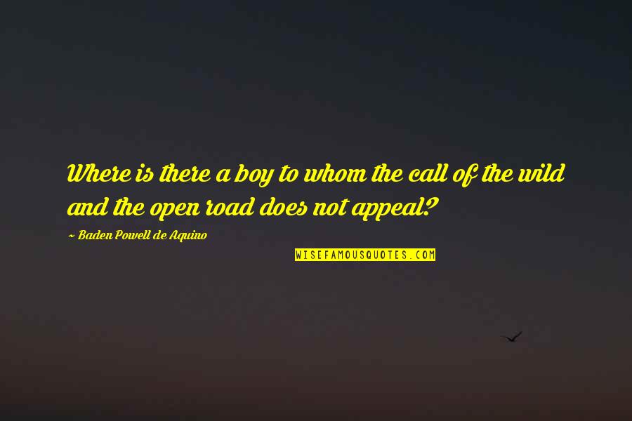 Open Road Quotes By Baden Powell De Aquino: Where is there a boy to whom the