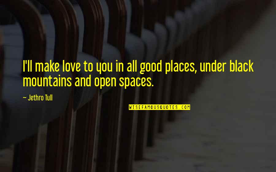 Open Space Quotes By Jethro Tull: I'll make love to you in all good