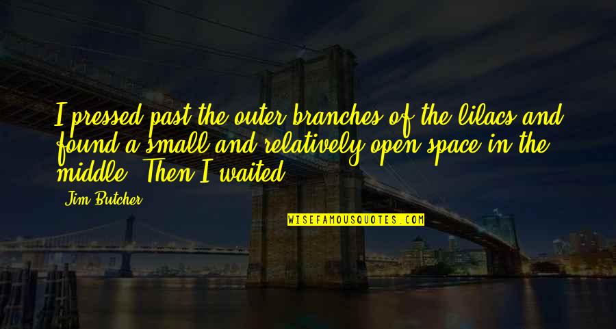 Open Space Quotes By Jim Butcher: I pressed past the outer branches of the