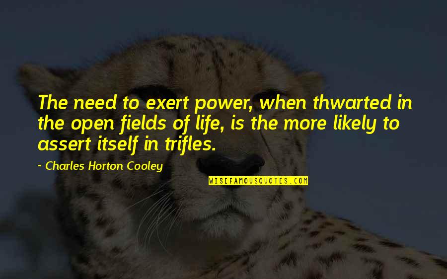 Open To Life Quotes By Charles Horton Cooley: The need to exert power, when thwarted in