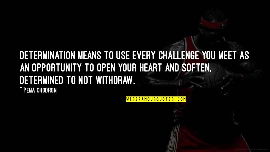 Open Up My Heart Quotes By Pema Chodron: Determination means to use every challenge you meet