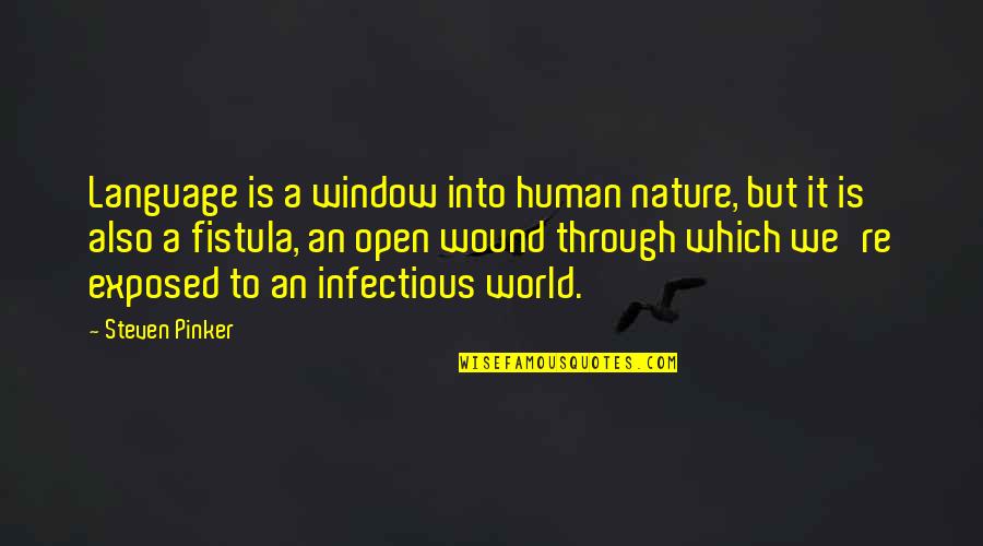 Open Window Quotes By Steven Pinker: Language is a window into human nature, but