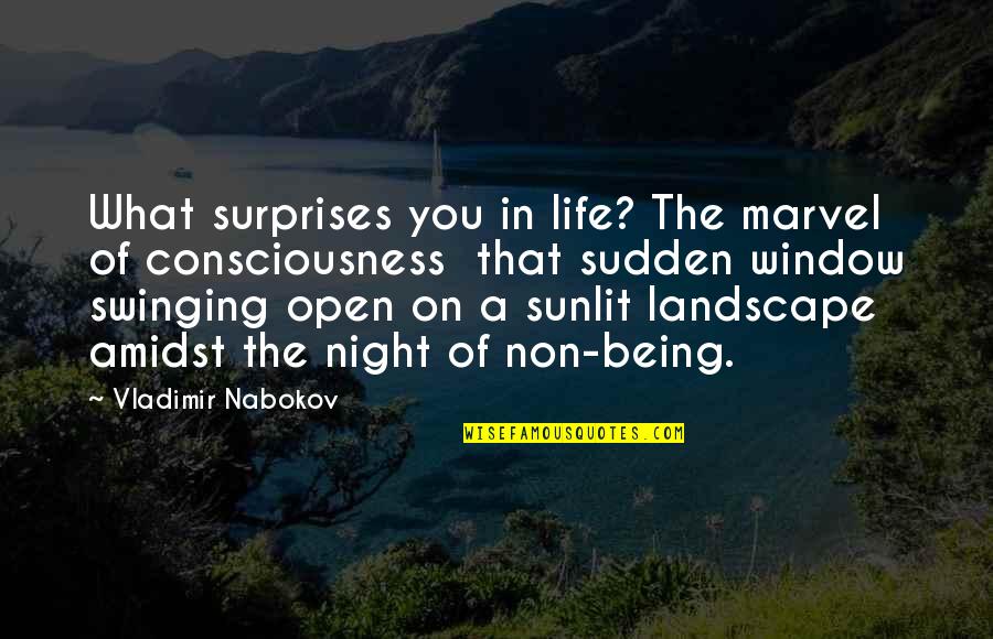 Open Window Quotes By Vladimir Nabokov: What surprises you in life? The marvel of