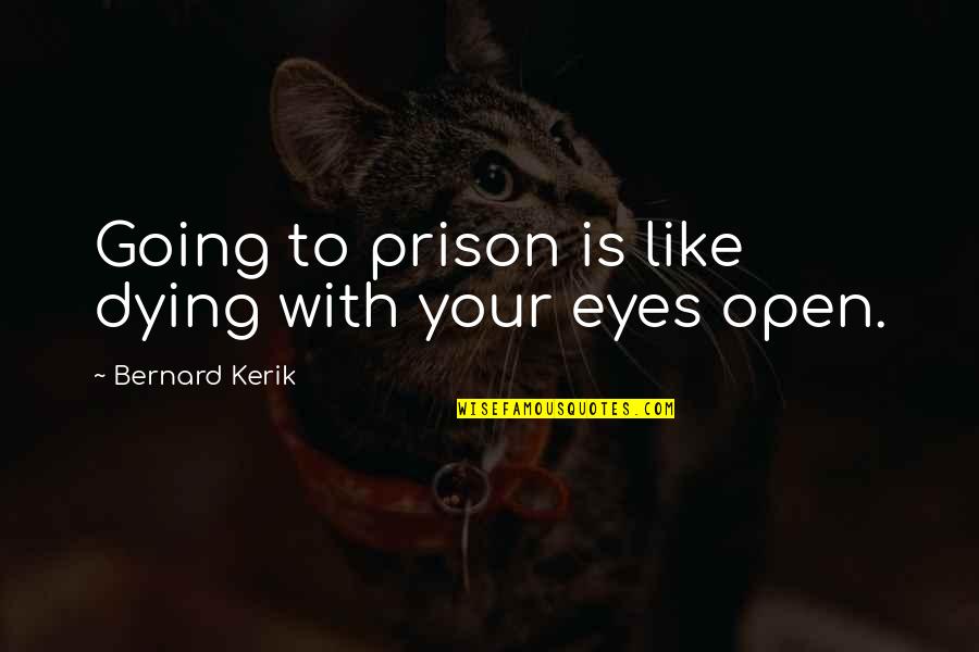 Open Your Eyes Quotes By Bernard Kerik: Going to prison is like dying with your