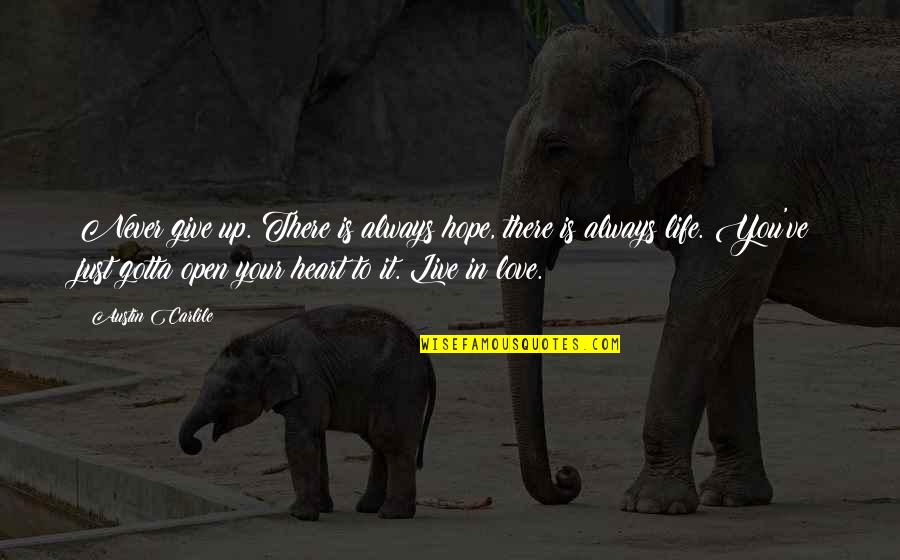 Open Your Heart To Life Quotes By Austin Carlile: Never give up. There is always hope, there