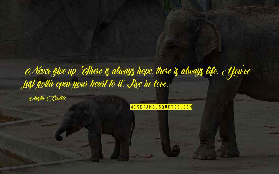 Open Your Heart To Love Quotes By Austin Carlile: Never give up. There is always hope, there