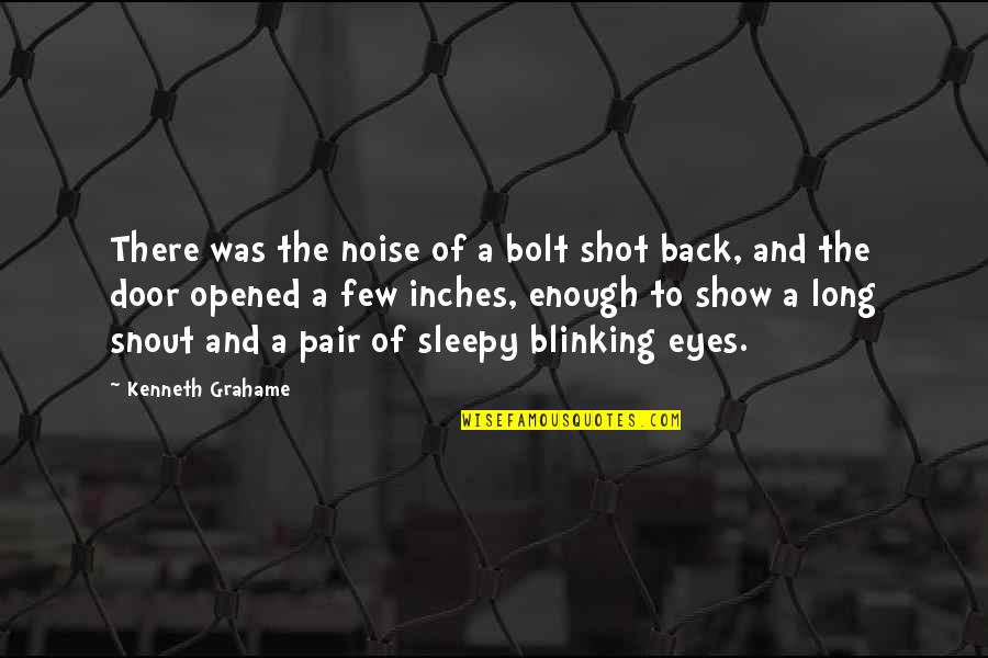 Opened Eyes Quotes By Kenneth Grahame: There was the noise of a bolt shot