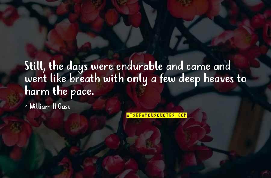 Opening Doors Of Opportunity Quotes By William H Gass: Still, the days were endurable and came and