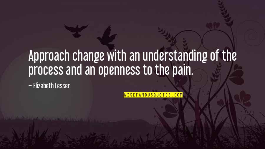 Openness Quotes By Elizabeth Lesser: Approach change with an understanding of the process