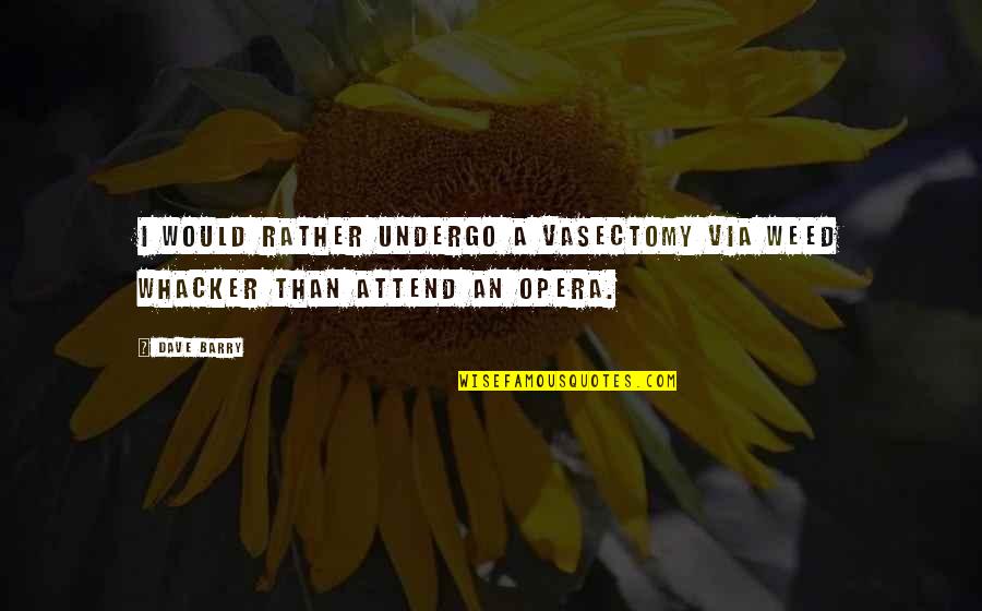 Opera Opera Quotes By Dave Barry: I would rather undergo a vasectomy via Weed