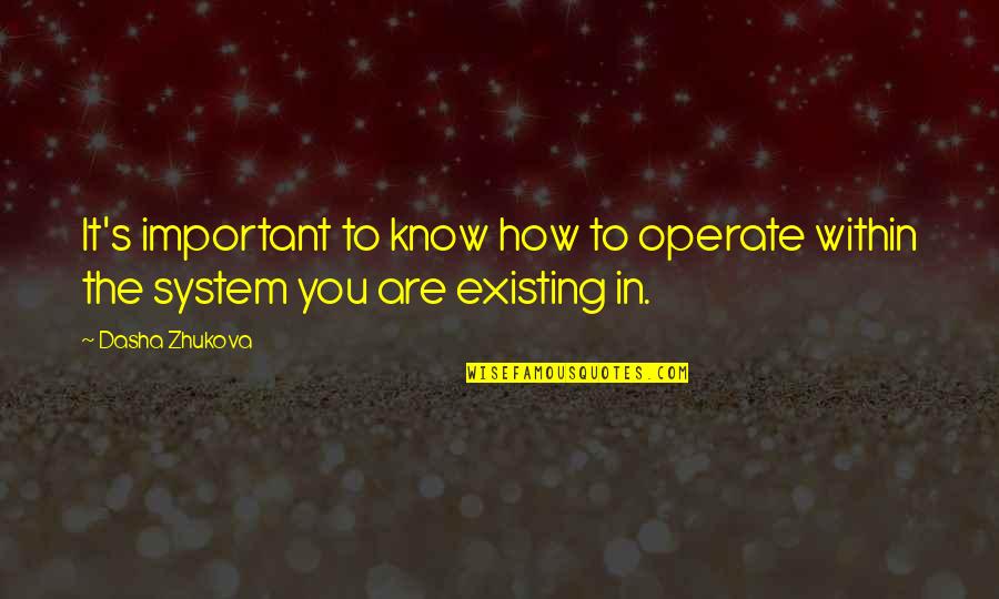 Operate Quotes By Dasha Zhukova: It's important to know how to operate within