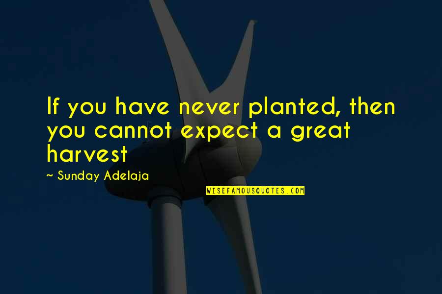 Operation Recovery Quotes By Sunday Adelaja: If you have never planted, then you cannot