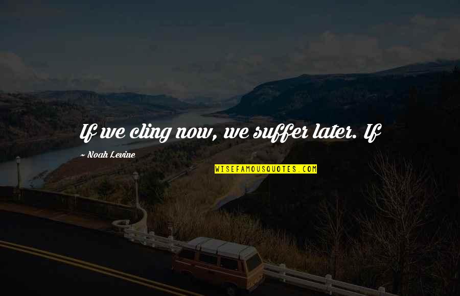 Operations Management Quotes By Noah Levine: If we cling now, we suffer later. If
