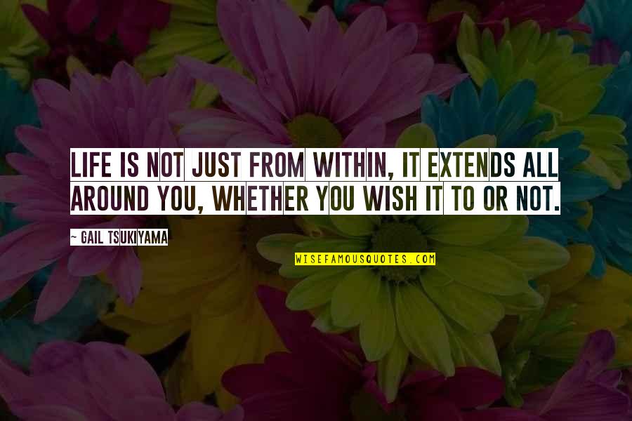 Opinion And Morals Quotes By Gail Tsukiyama: Life is not just from within, it extends Opinion And Morals Quotes By Gail Tsukiyama: Life is not just from within, it extends