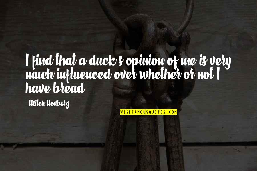 Opinion Of Me Quotes By Mitch Hedberg: I find that a duck's opinion of me