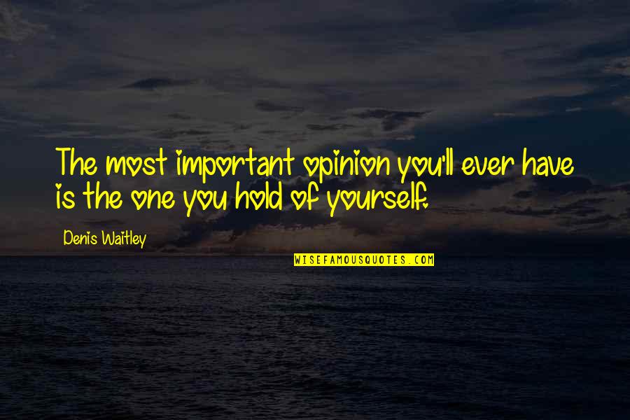 Opinion Of You Quotes By Denis Waitley: The most important opinion you'll ever have is