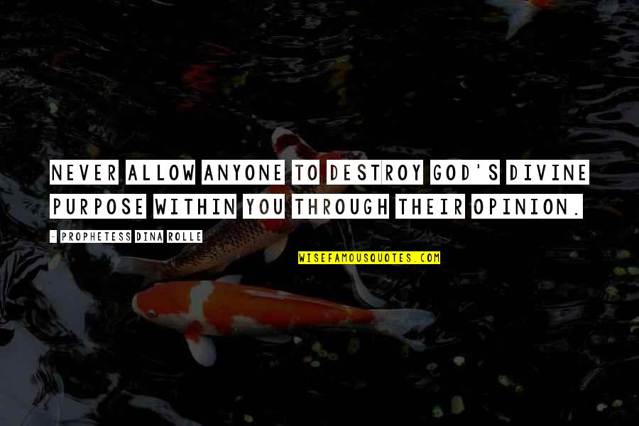 Opinion Of You Quotes By Prophetess Dina Rolle: Never allow anyone to destroy God's divine purpose