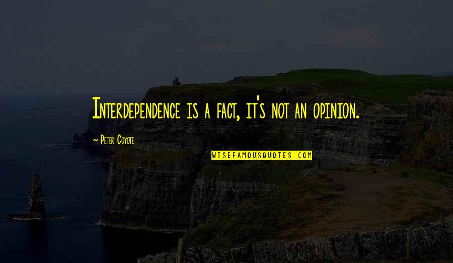 Opinion Vs Fact Quotes By Peter Coyote: Interdependence is a fact, it's not an opinion. Opinion Vs Fact Quotes By Peter Coyote: Interdependence is a fact, it's not an opinion.