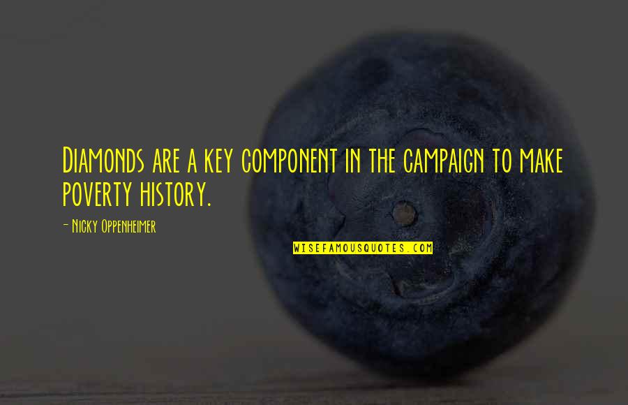 Oppenheimer's Quotes By Nicky Oppenheimer: Diamonds are a key component in the campaign